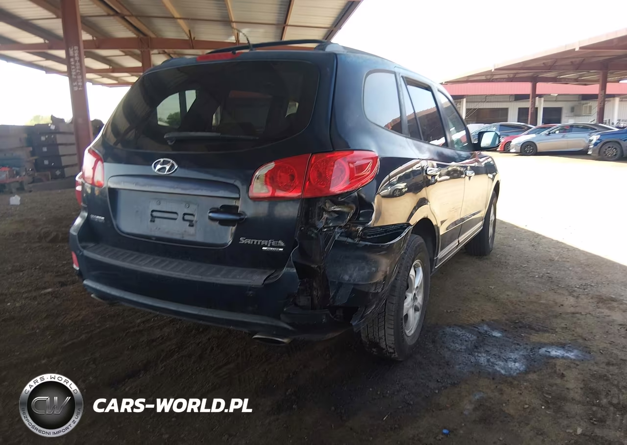 2007 Hyundai Santa Fe Gls VIN:5NMSG73D57H060894 - 6