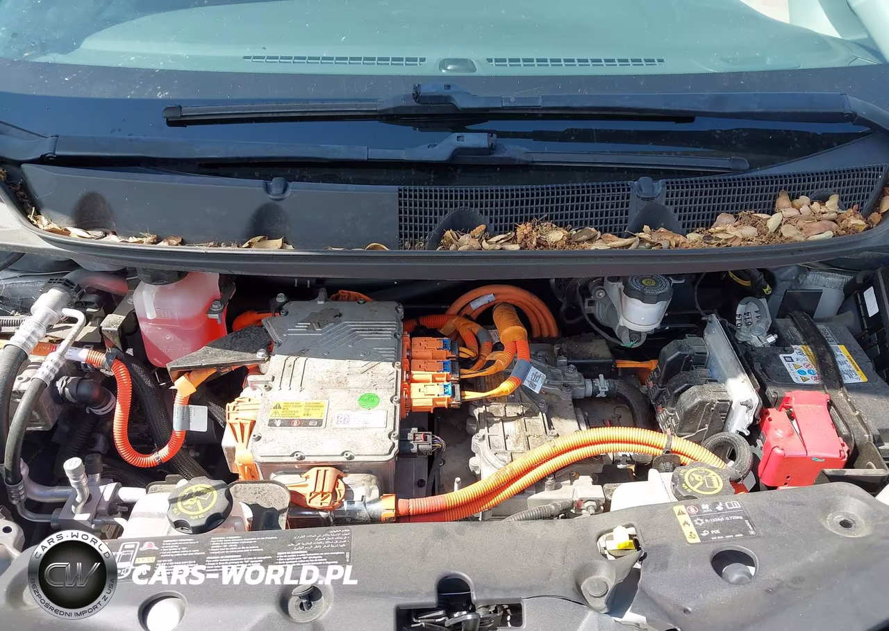 2020 Chevrolet Bolt Ev Fwd Premier VIN:1G1FZ6S02L4119691 - 10