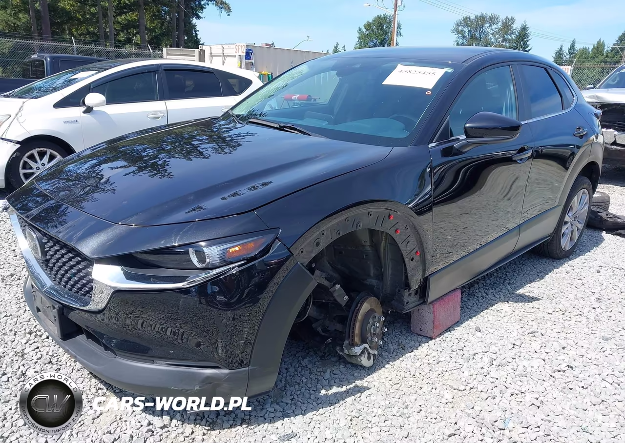 2020 Mazda Cx-30 Select Package VIN:3MVDMBCLXLM113834 - 2