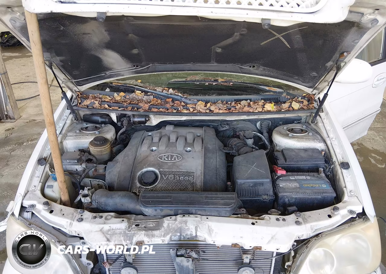 2005 Kia Sedona Ex-Lx VIN:KNDUP132156729676 - 10