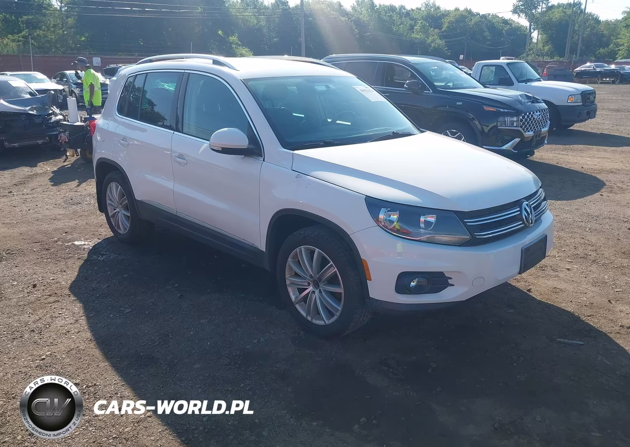 2013 Volkswagen Tiguan Se VIN:WVGBV3AX2DW067768 - 1