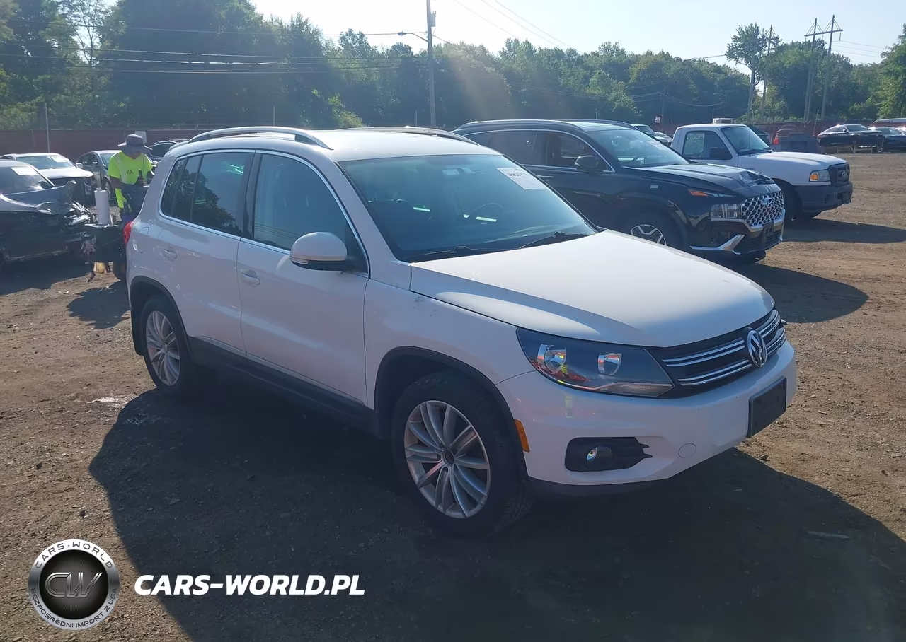2013 Volkswagen Tiguan Se VIN:WVGBV3AX2DW067768 - 12