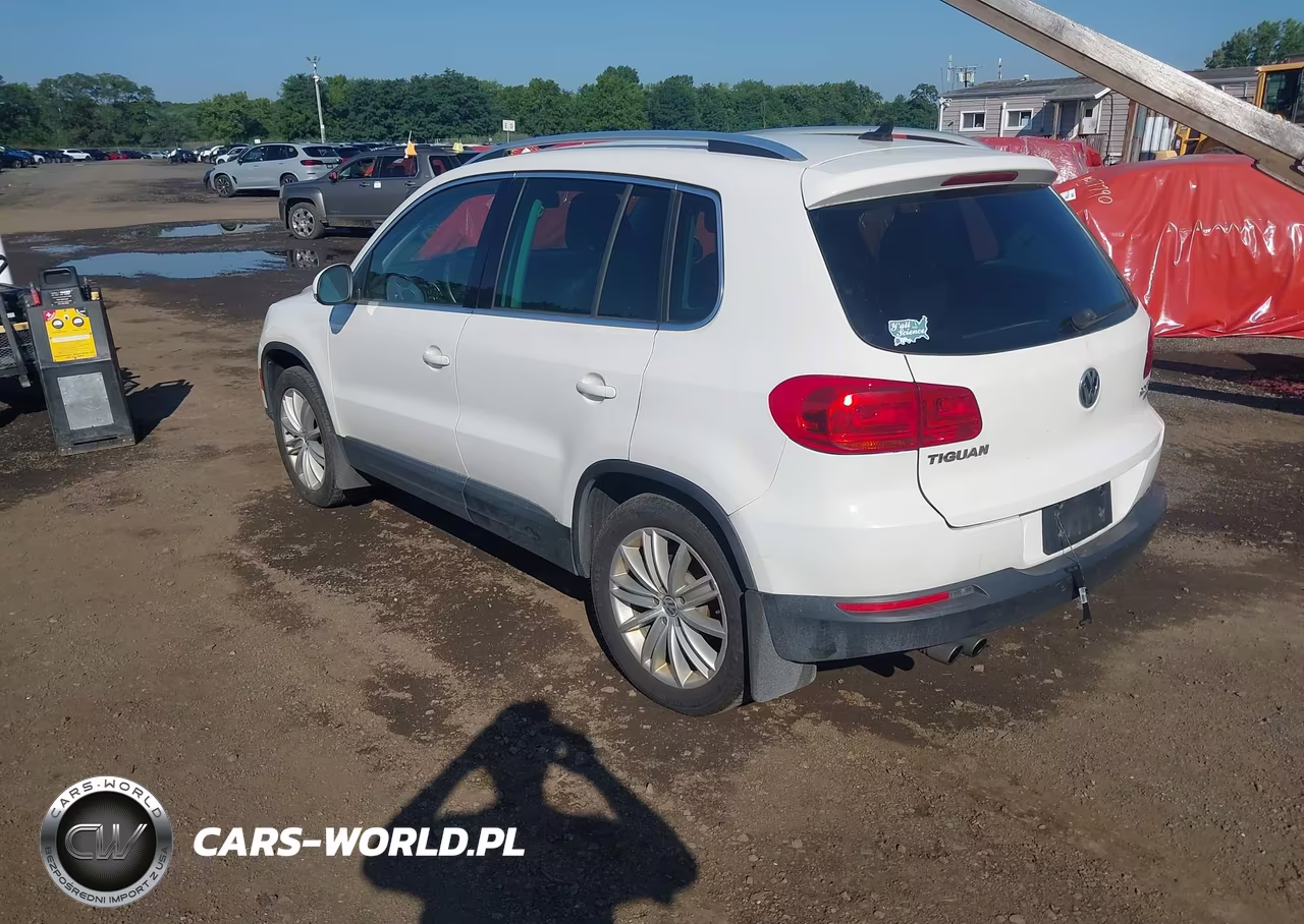 2013 Volkswagen Tiguan Se VIN:WVGBV3AX2DW067768 - 3