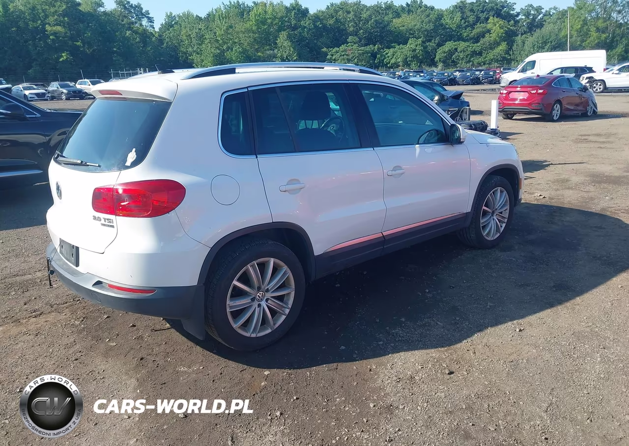 2013 Volkswagen Tiguan Se VIN:WVGBV3AX2DW067768 - 4