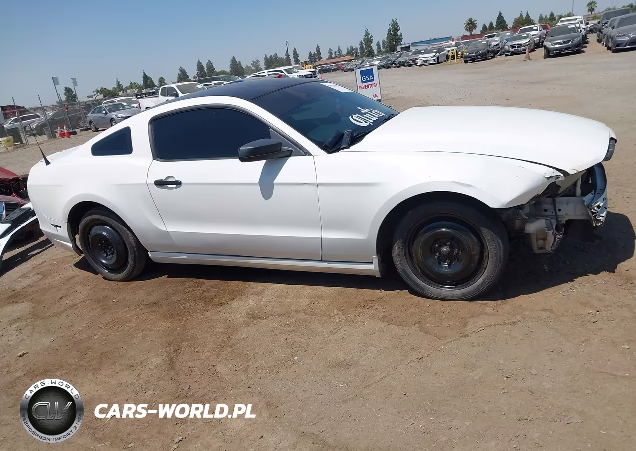2013 Ford Mustang V6 VIN:1ZVBP8AM8D5246563 - 14