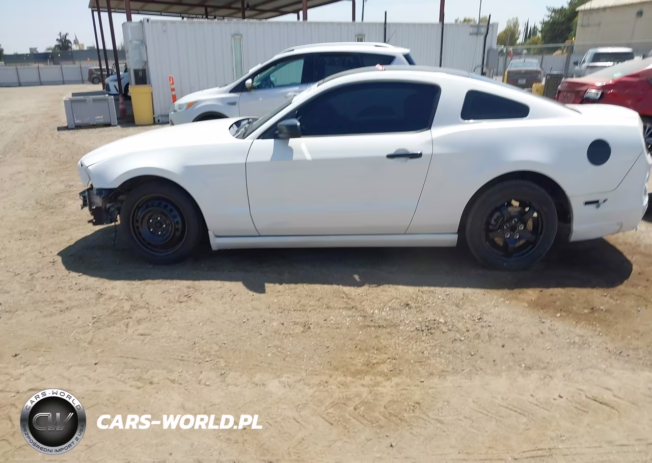 2013 Ford Mustang V6 VIN:1ZVBP8AM8D5246563 - 15