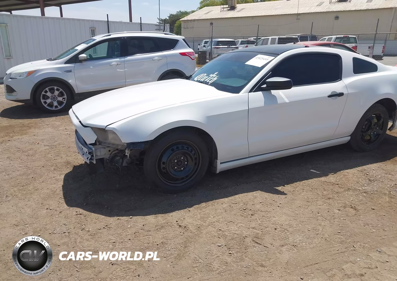 2013 Ford Mustang V6 VIN:1ZVBP8AM8D5246563 - 2