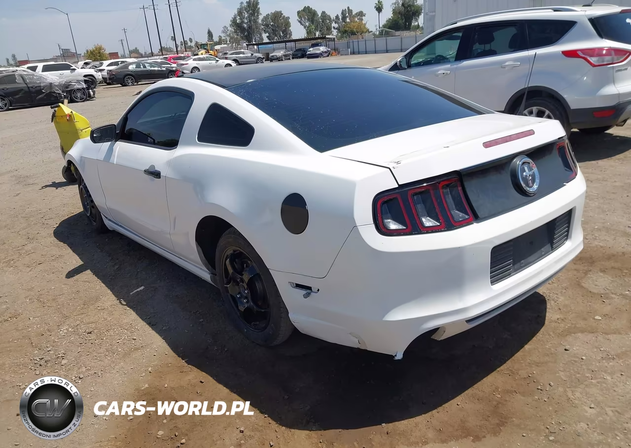 2013 Ford Mustang V6 VIN:1ZVBP8AM8D5246563 - 3