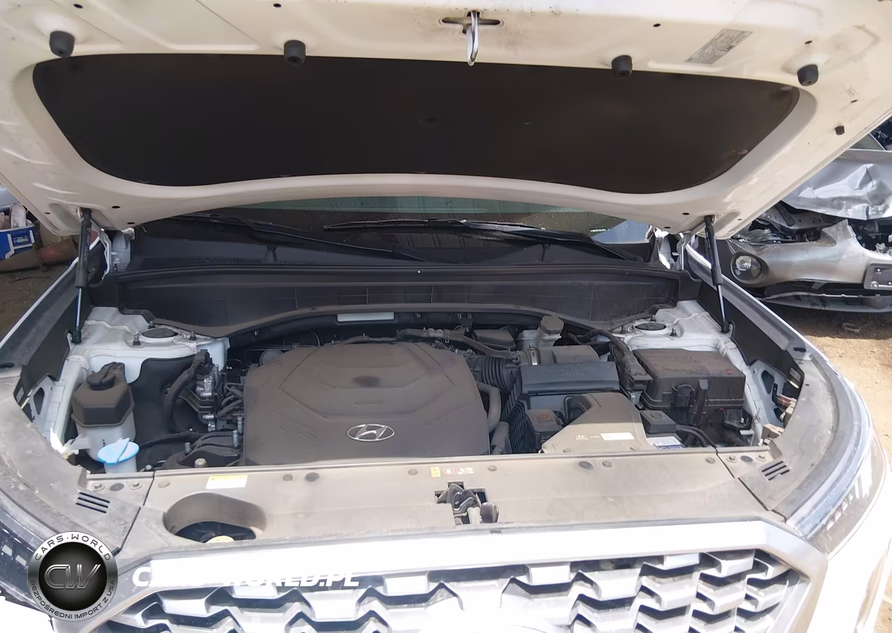 2022 Hyundai Palisade Sel VIN:KM8R24HE4NU378259 - 10