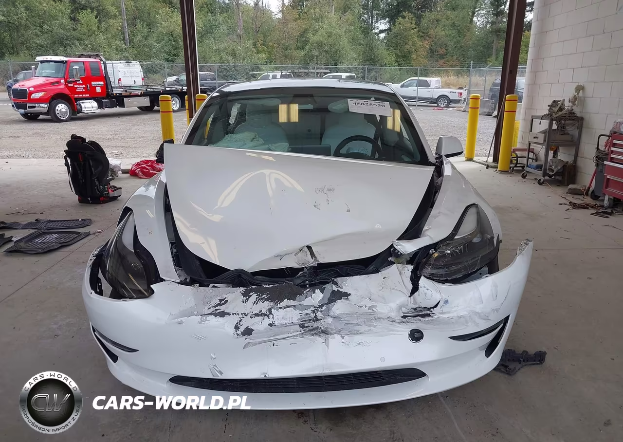 2021 Tesla Model 3 Standard Range Plus Rear-Wheel Drive VIN:5YJ3E1EA8MF053848 - 11