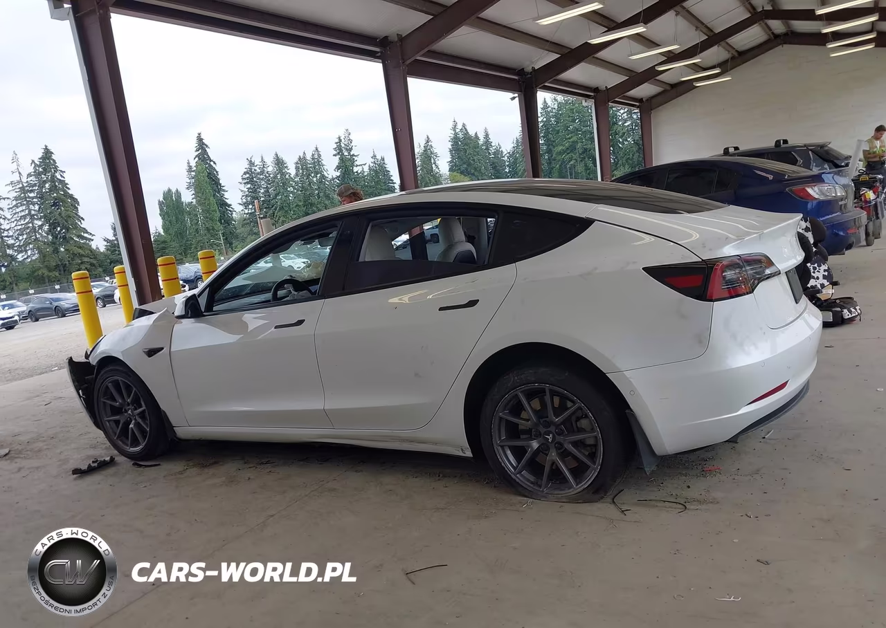 2021 Tesla Model 3 Standard Range Plus Rear-Wheel Drive VIN:5YJ3E1EA8MF053848 - 13