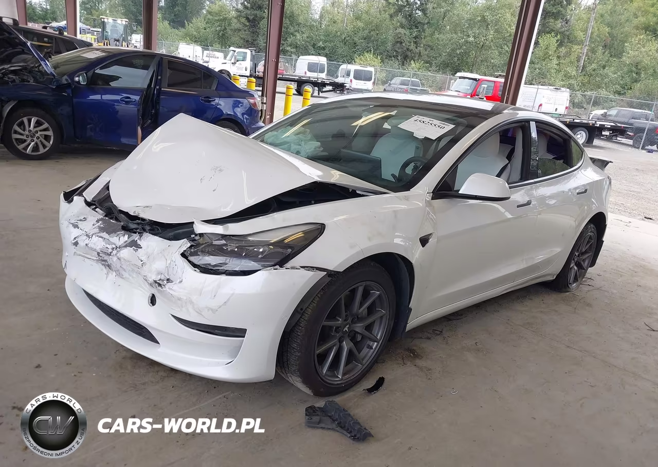 2021 Tesla Model 3 Standard Range Plus Rear-Wheel Drive VIN:5YJ3E1EA8MF053848 - 2