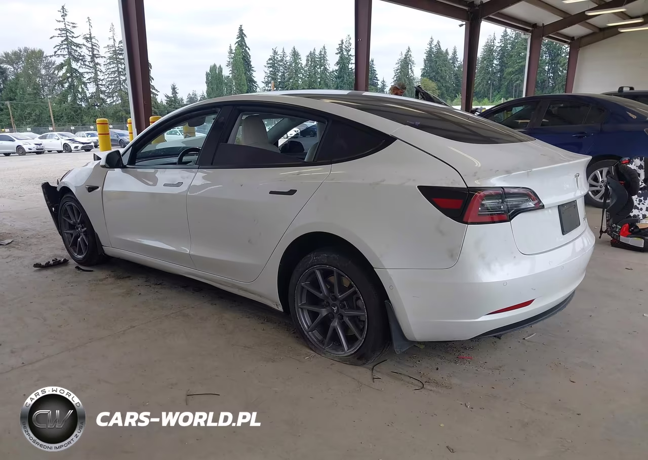 2021 Tesla Model 3 Standard Range Plus Rear-Wheel Drive VIN:5YJ3E1EA8MF053848 - 3