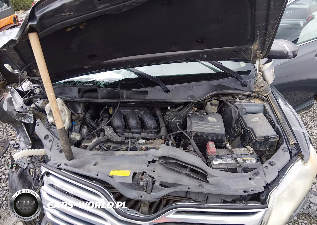 2009 Toyota Venza Base V6 VIN:4T3BK11A49U007509 - 10