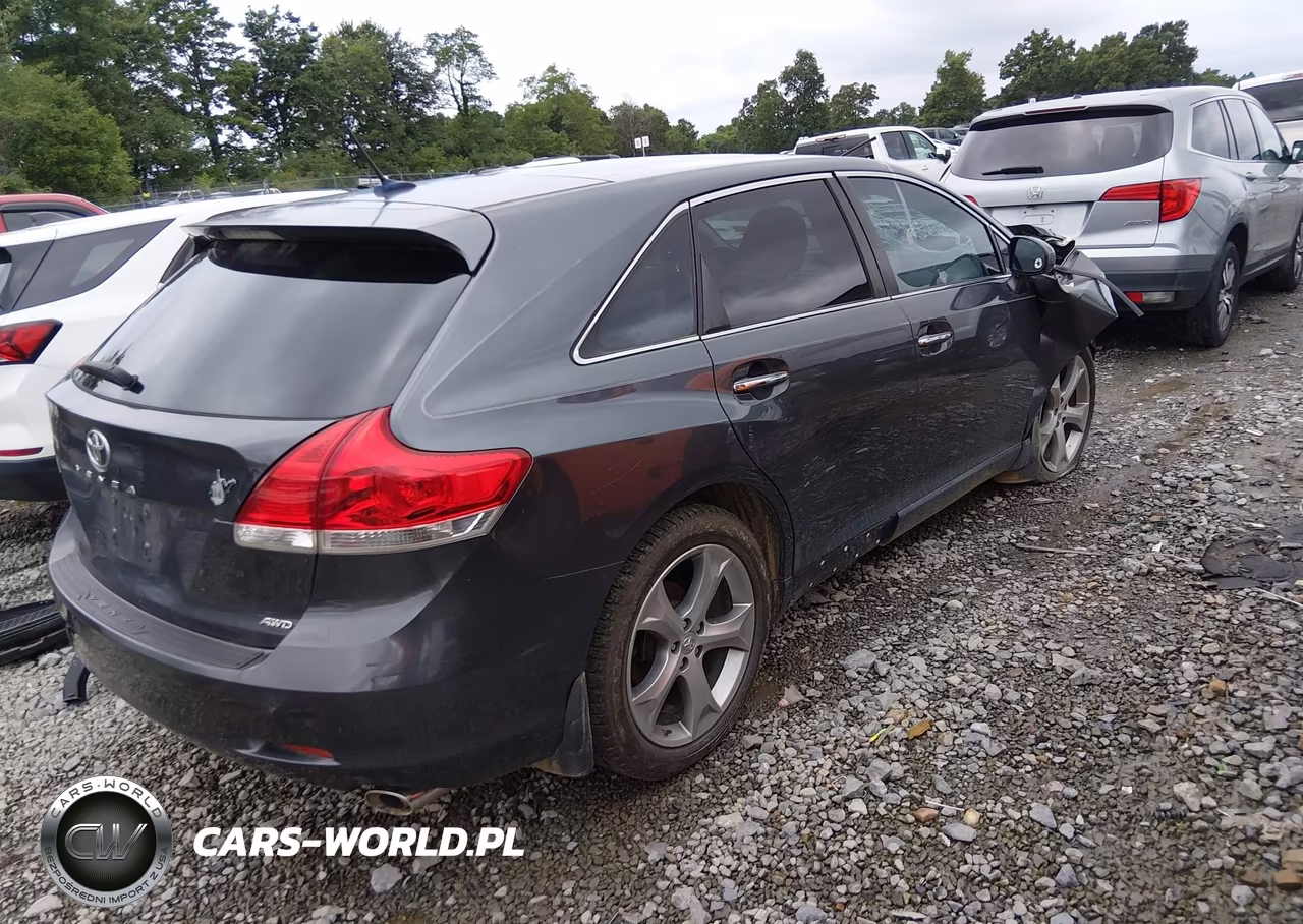 2009 Toyota Venza Base V6 VIN:4T3BK11A49U007509 - 4
