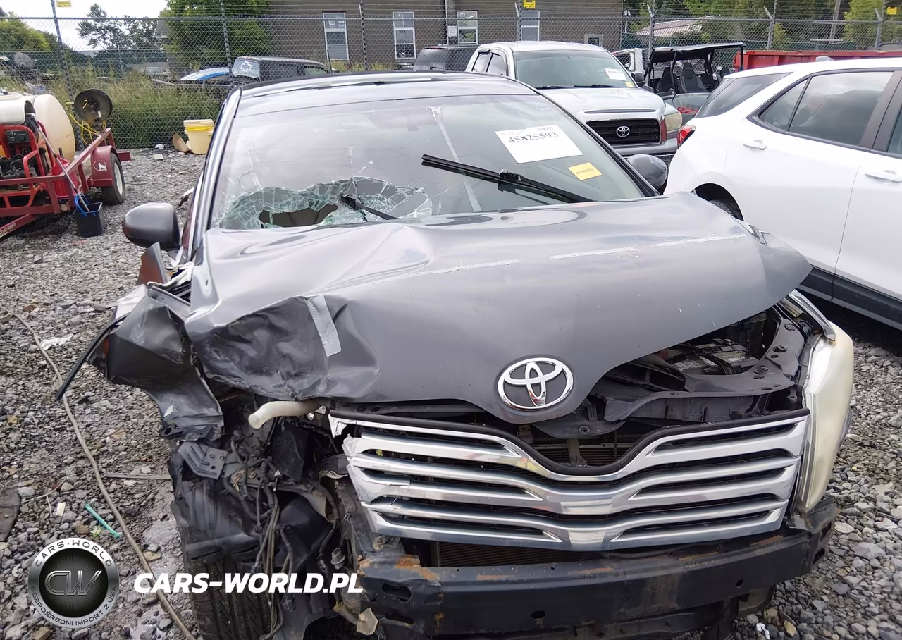 2009 Toyota Venza Base V6 VIN:4T3BK11A49U007509 - 6