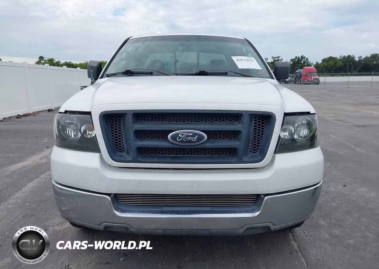 2004 Ford F-150 Stx-Xl-Xlt VIN:1FTRX12WX4FA33620 - 6