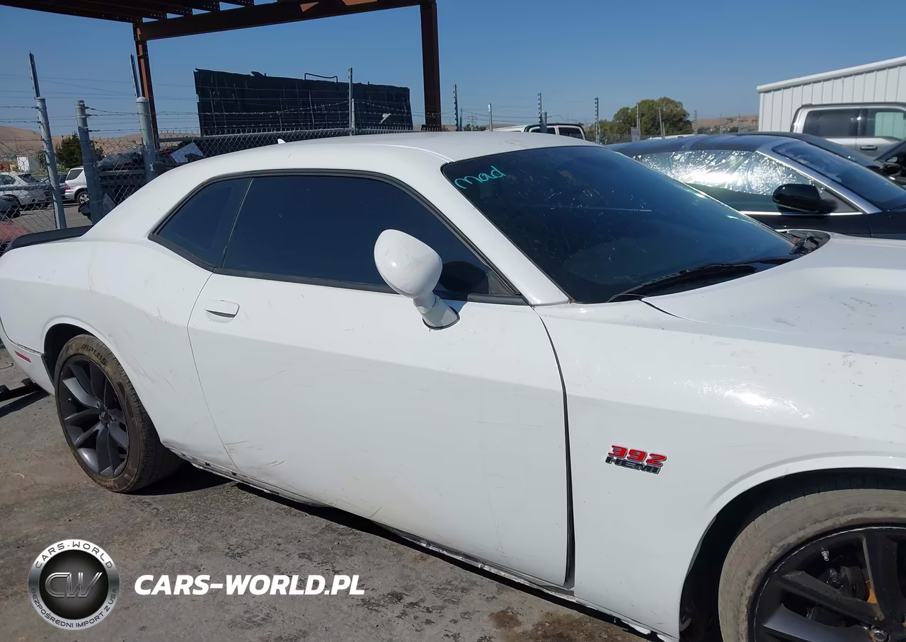 2019 Dodge Challenger R-T Scat Pack VIN:2C3CDZFJ4KH591233 - 17