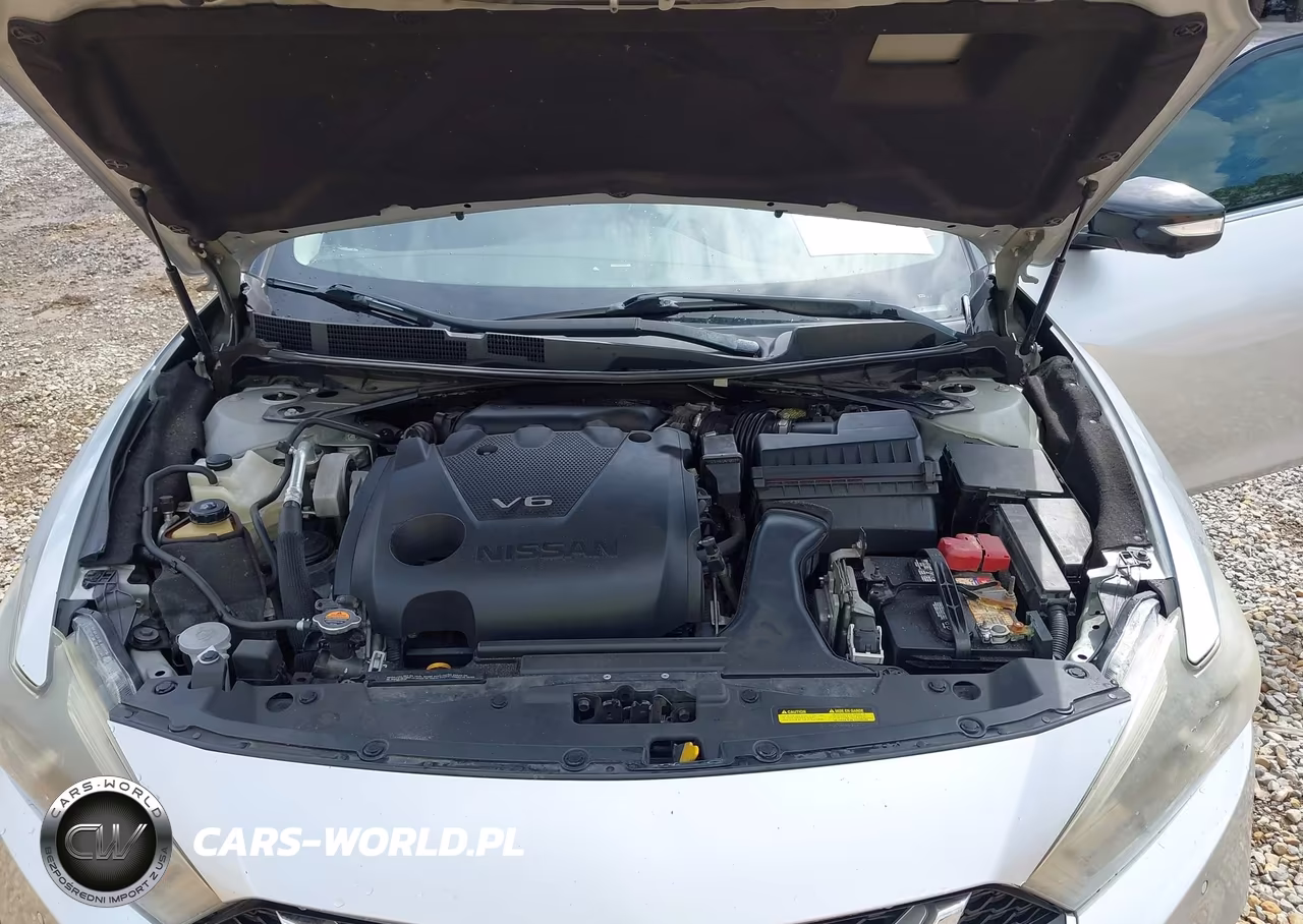 2016 Nissan Maxima 3.5 Platinum VIN:1N4AA6AP4GC439863 - 10