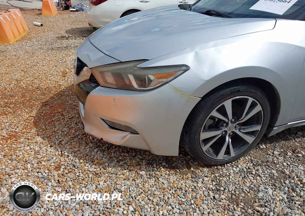 2016 Nissan Maxima 3.5 Platinum VIN:1N4AA6AP4GC439863 - 6