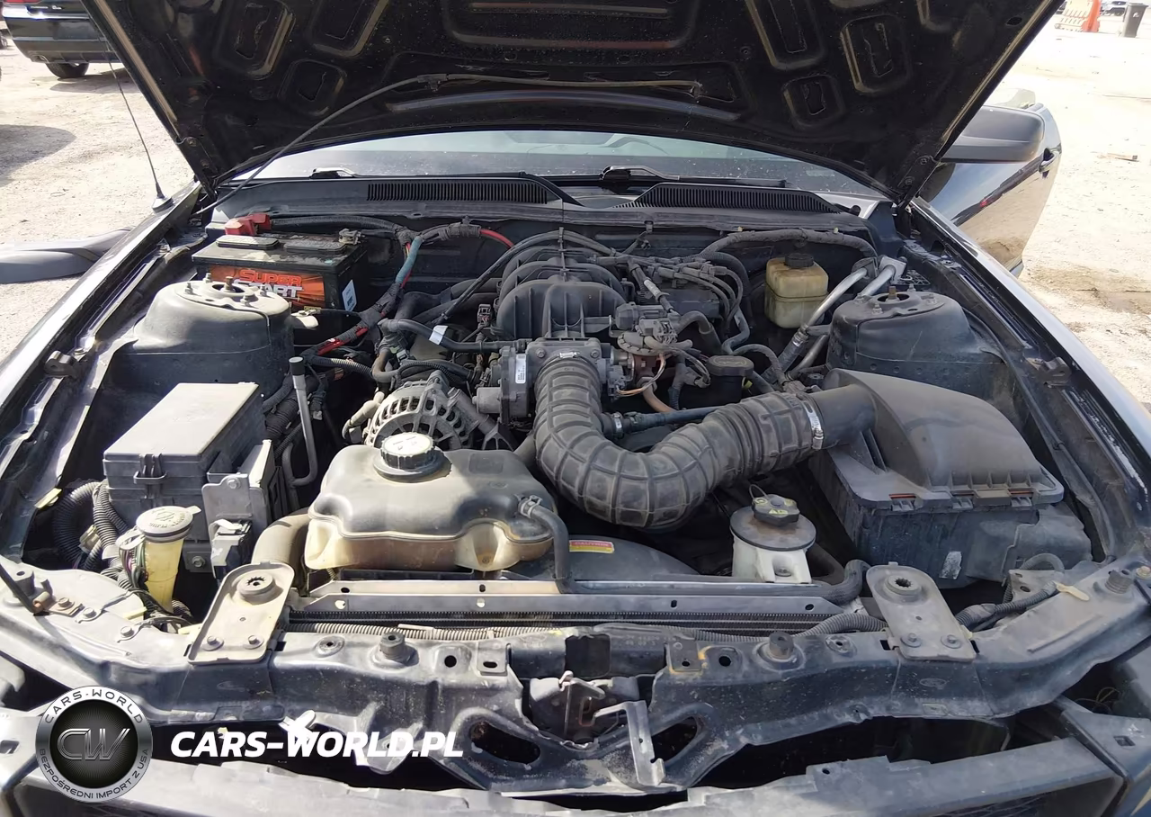 2007 Ford Mustang V6 Deluxe-V6 Premium VIN:1ZVFT80NX75237231 - 10