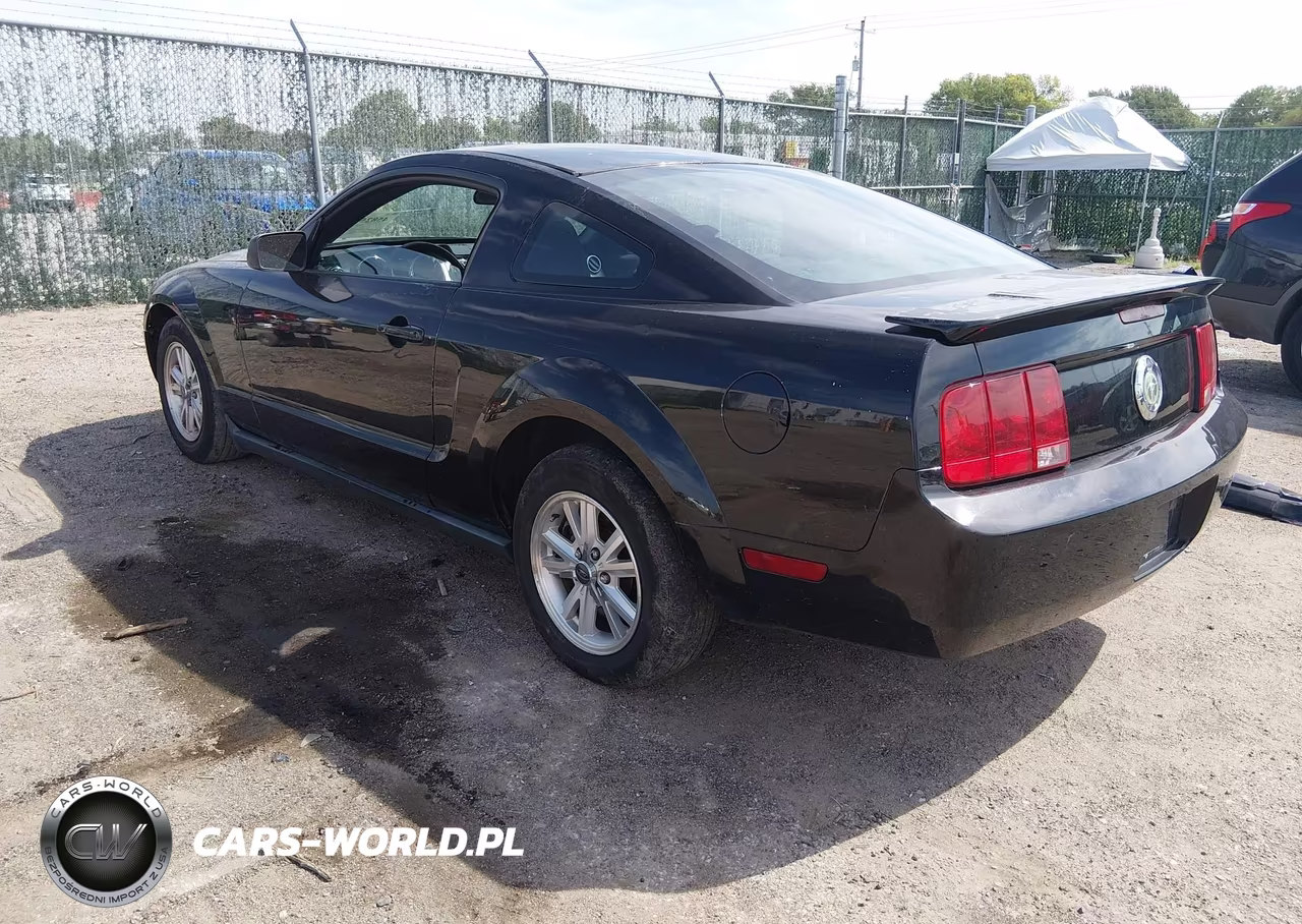 2007 Ford Mustang V6 Deluxe-V6 Premium VIN:1ZVFT80NX75237231 - 3