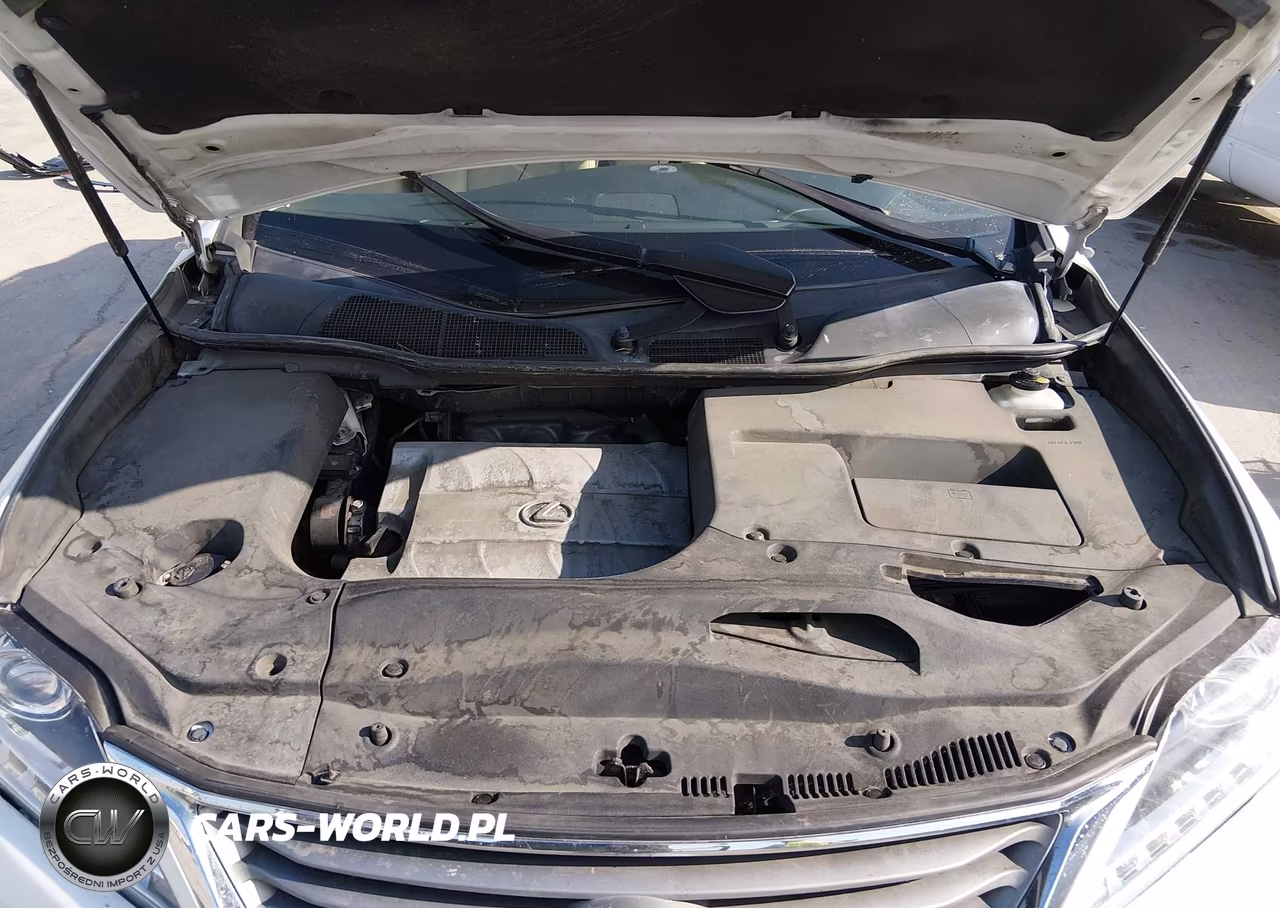2014 Lexus Rx 350 VIN:JTJZK1BAXE2010704 - 10