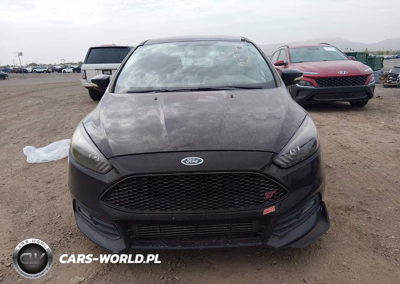 2016 Ford Focus St VIN:1FADP3L91GL309970 - 12