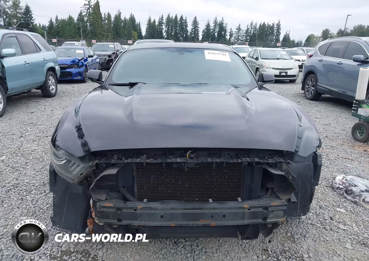 2016 Ford Mustang V6 VIN:1FA6P8AM9G5240981 - 13