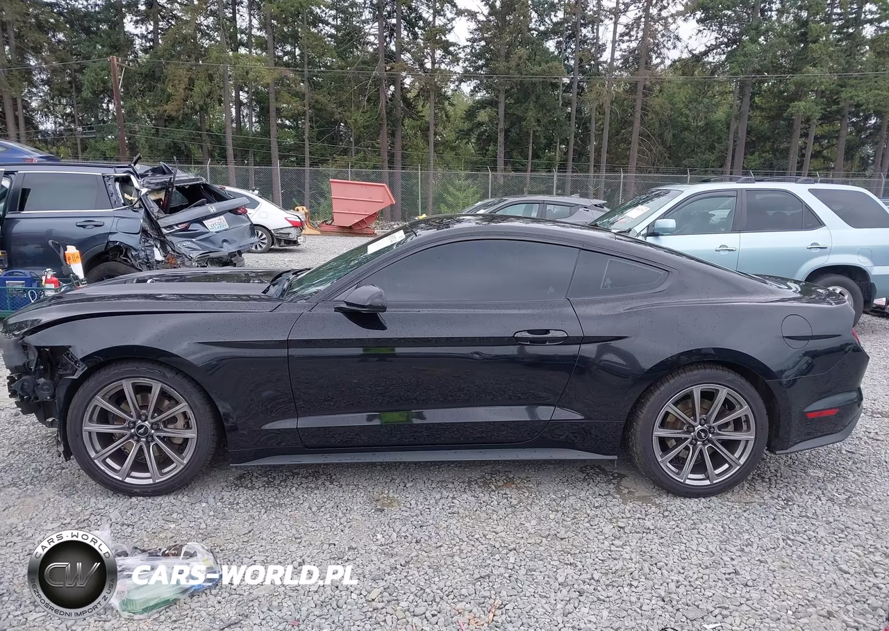 2016 Ford Mustang V6 VIN:1FA6P8AM9G5240981 - 15