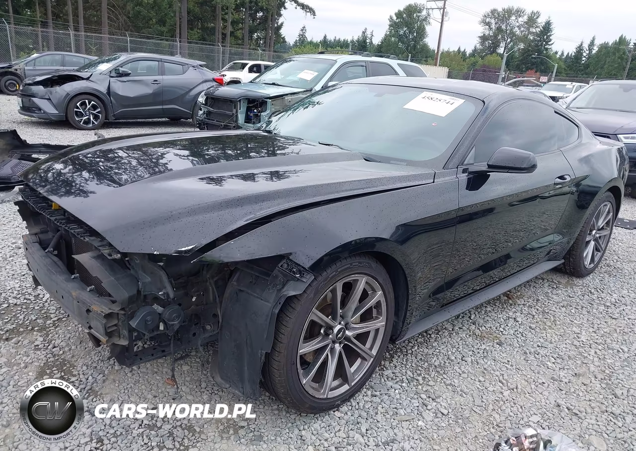 2016 Ford Mustang V6 VIN:1FA6P8AM9G5240981 - 2