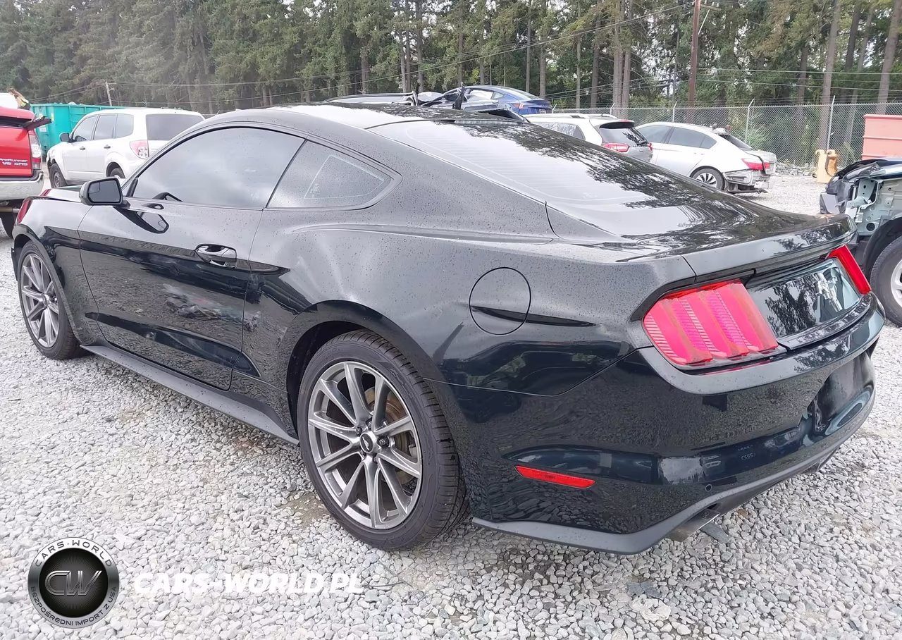 2016 Ford Mustang V6 VIN:1FA6P8AM9G5240981 - 3
