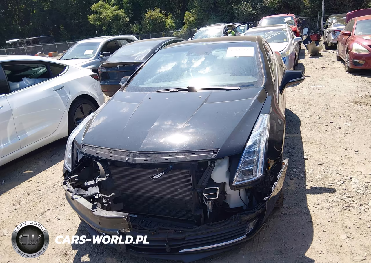 2014 Cadillac Elr Standard VIN:1G6RR1E40EU601197 - 12