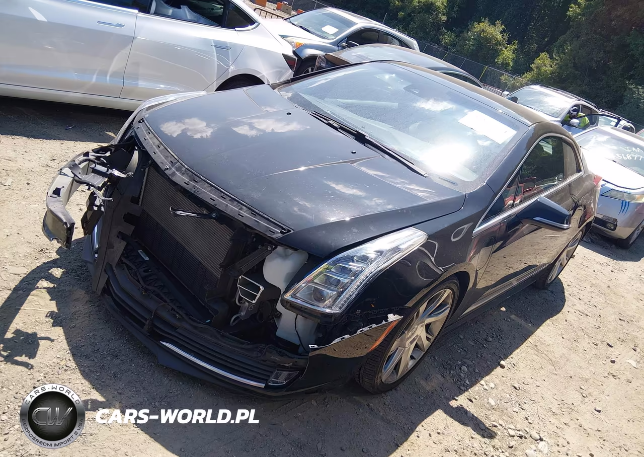 2014 Cadillac Elr Standard VIN:1G6RR1E40EU601197 - 2