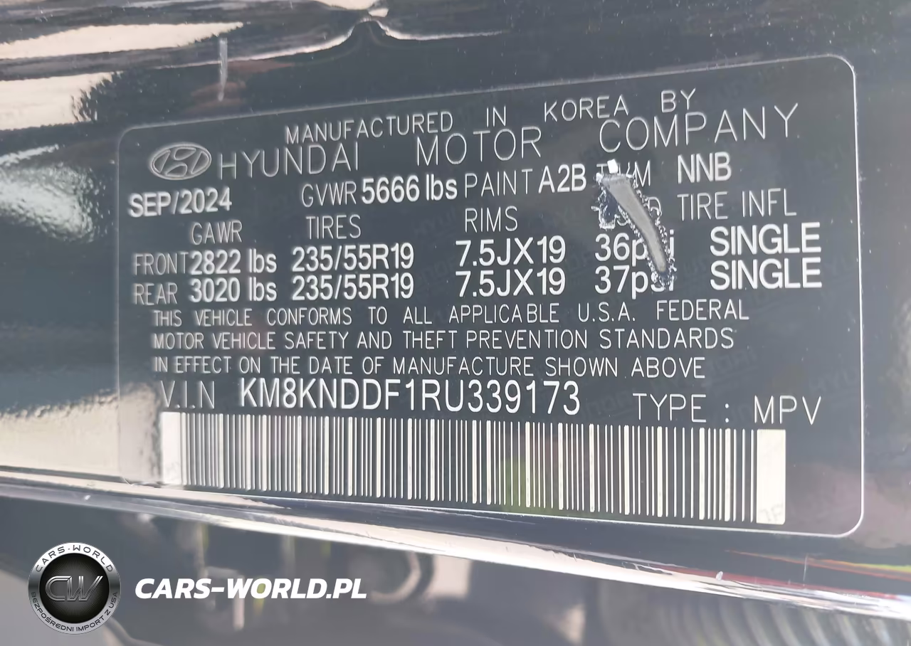 2024 Hyundai Ioniq 5 Sel VIN:KM8KNDDF1RU339173 - 9