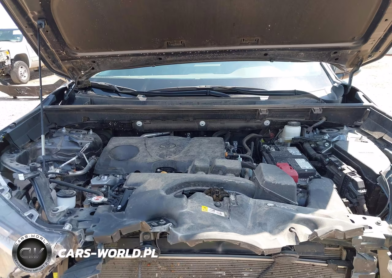 2025 Toyota Rav4 Xle VIN:2T3W1RFV2SW400087 - 10