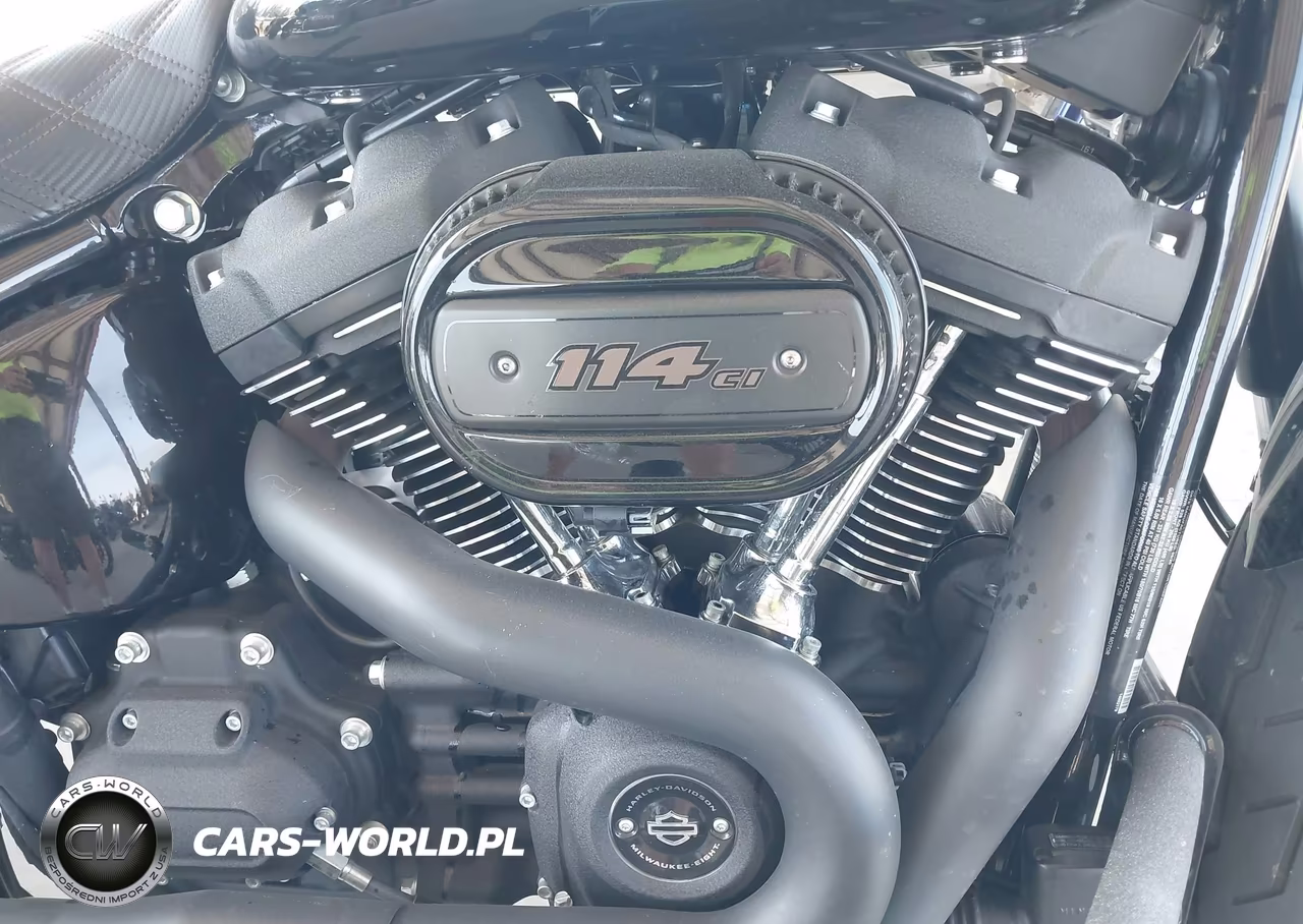 2020 Harley-Davidson Fxlrs VIN:1HD1YWK1XLB060834 - 8