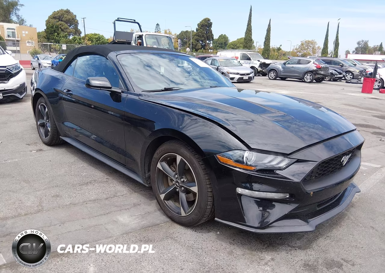 2019 Ford Mustang Ecoboost