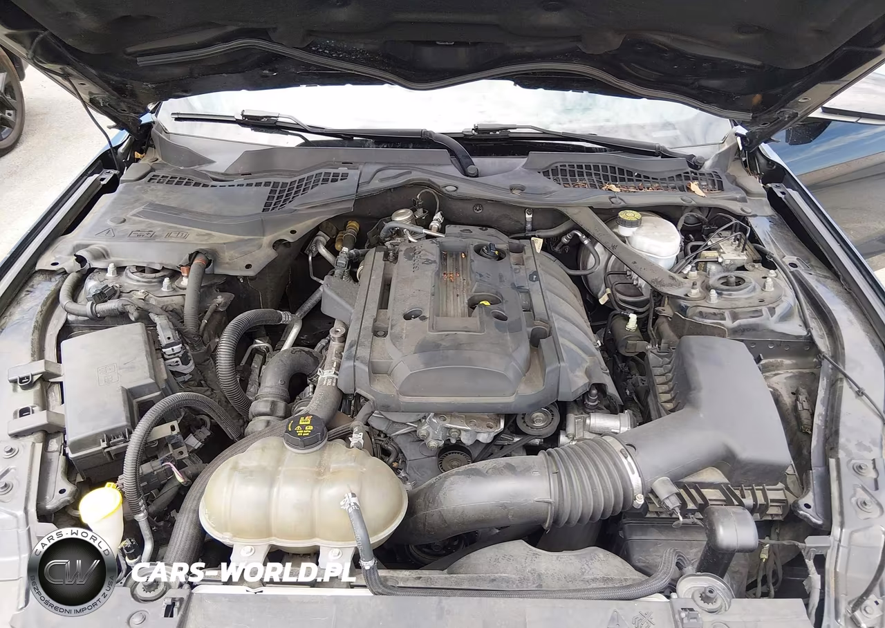 2019 Ford Mustang Ecoboost VIN:1FATP8UHXK5148126 - 10