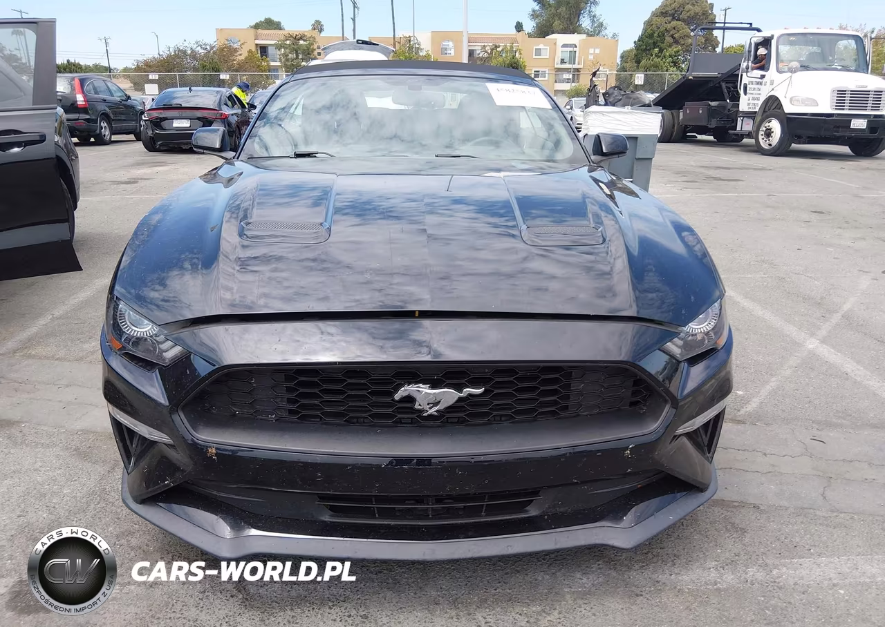 2019 Ford Mustang Ecoboost VIN:1FATP8UHXK5148126 - 12