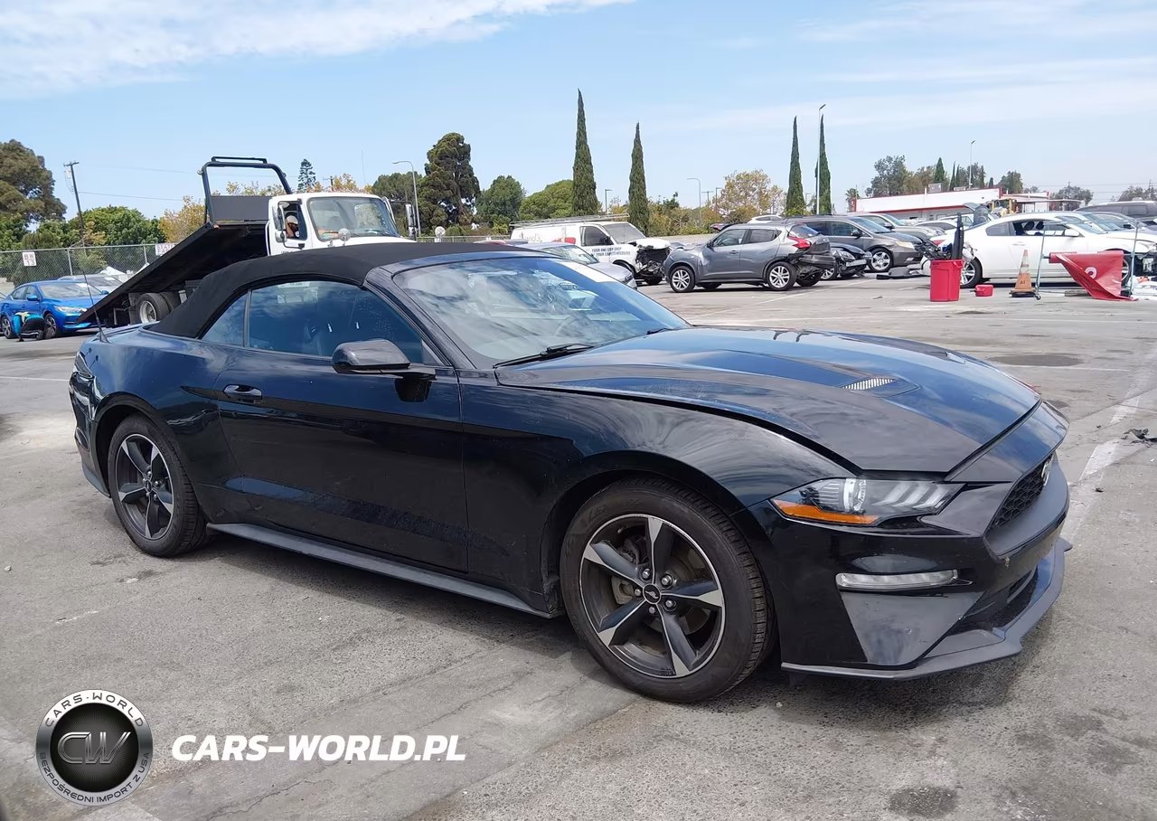 2019 Ford Mustang Ecoboost VIN:1FATP8UHXK5148126 - 13