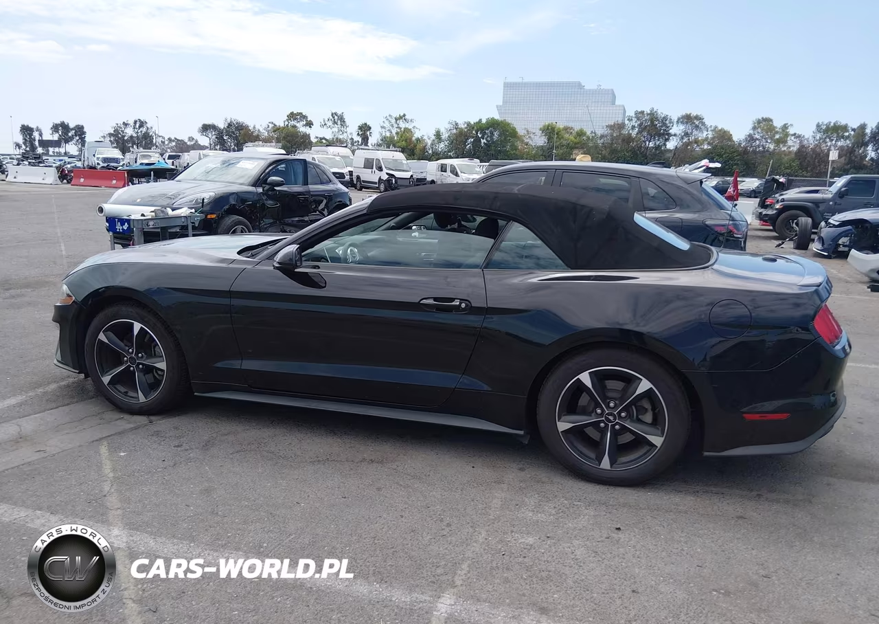 2019 Ford Mustang Ecoboost VIN:1FATP8UHXK5148126 - 14