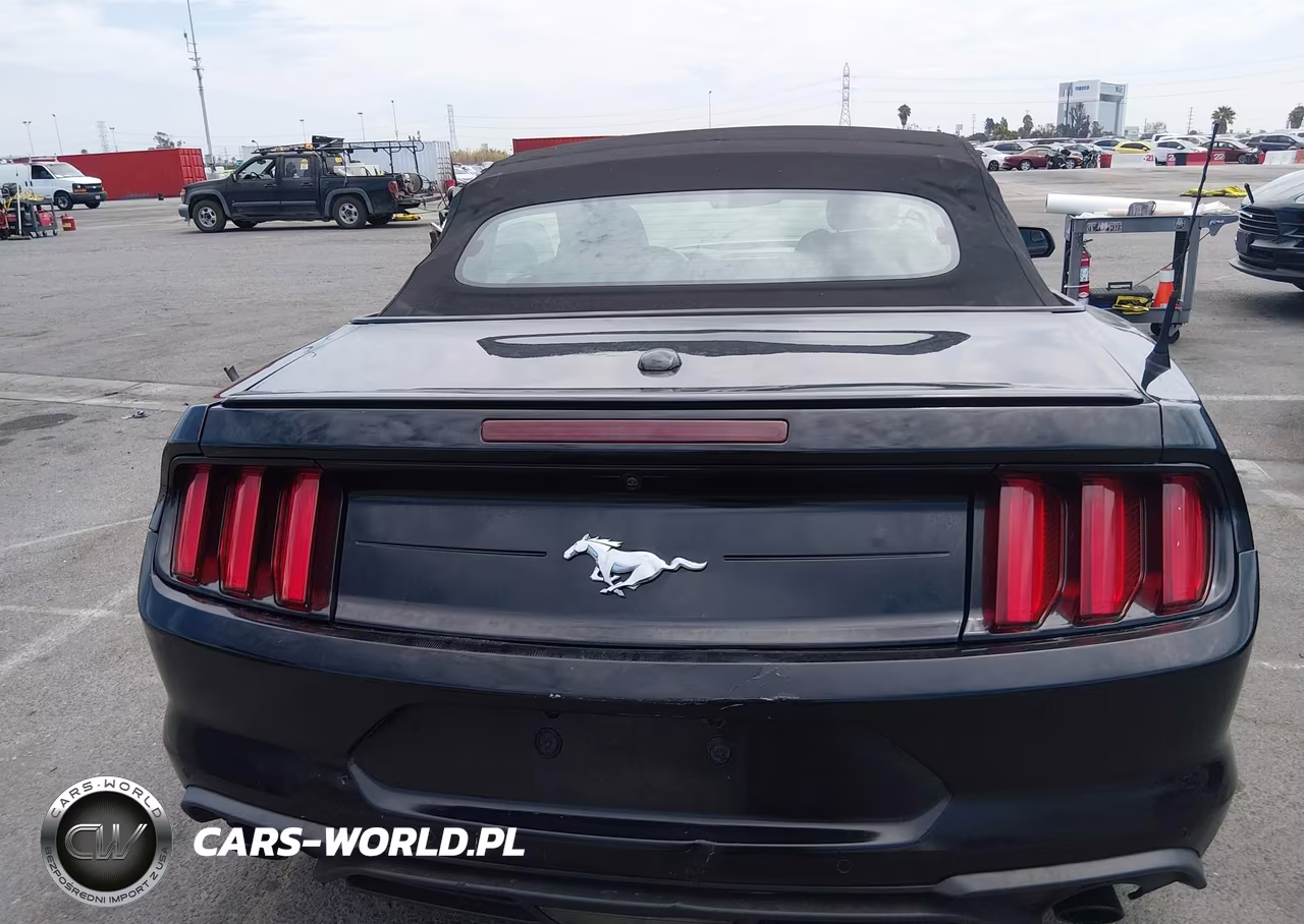 2019 Ford Mustang Ecoboost VIN:1FATP8UHXK5148126 - 16