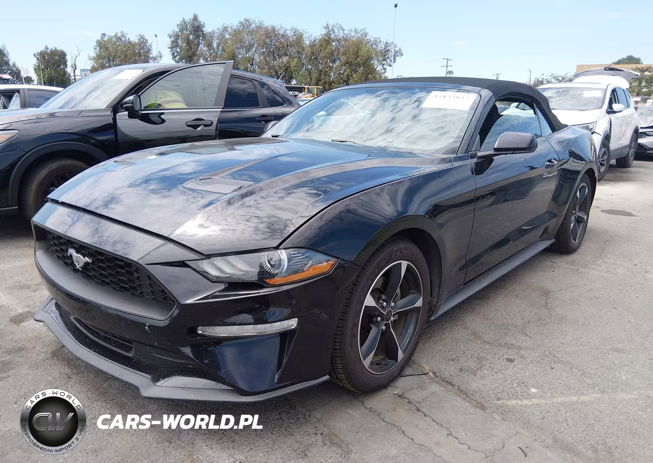 2019 Ford Mustang Ecoboost VIN:1FATP8UHXK5148126 - 2