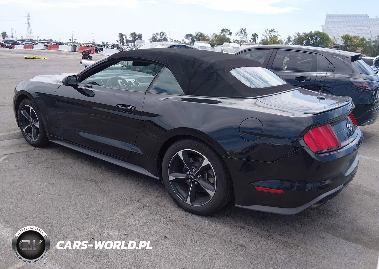 2019 Ford Mustang Ecoboost VIN:1FATP8UHXK5148126 - 3