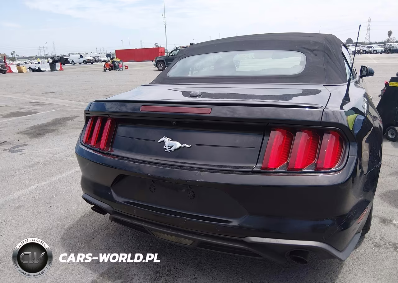 2019 Ford Mustang Ecoboost VIN:1FATP8UHXK5148126 - 6