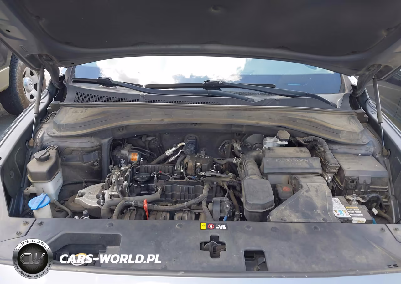 2019 Hyundai Santa Fe Sel Plus VIN:5NMS33AD4KH046243 - 10
