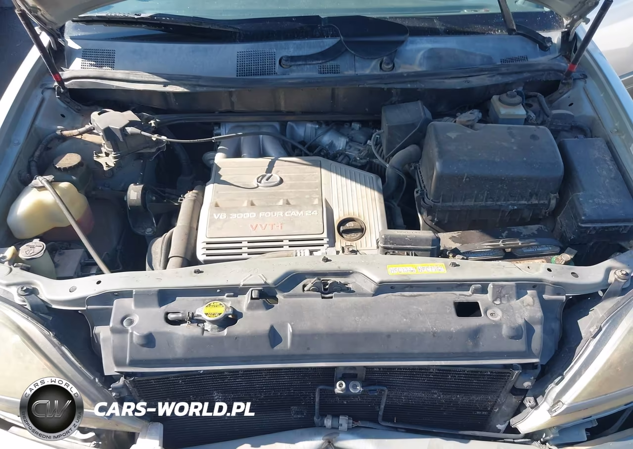 1999 Lexus Rx 300 VIN:JT6HF10U8X0070079 - 10