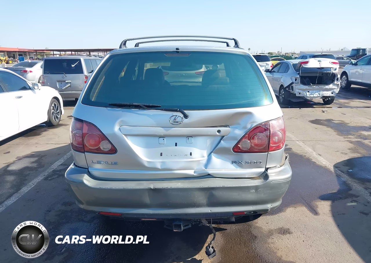 1999 Lexus Rx 300 VIN:JT6HF10U8X0070079 - 17