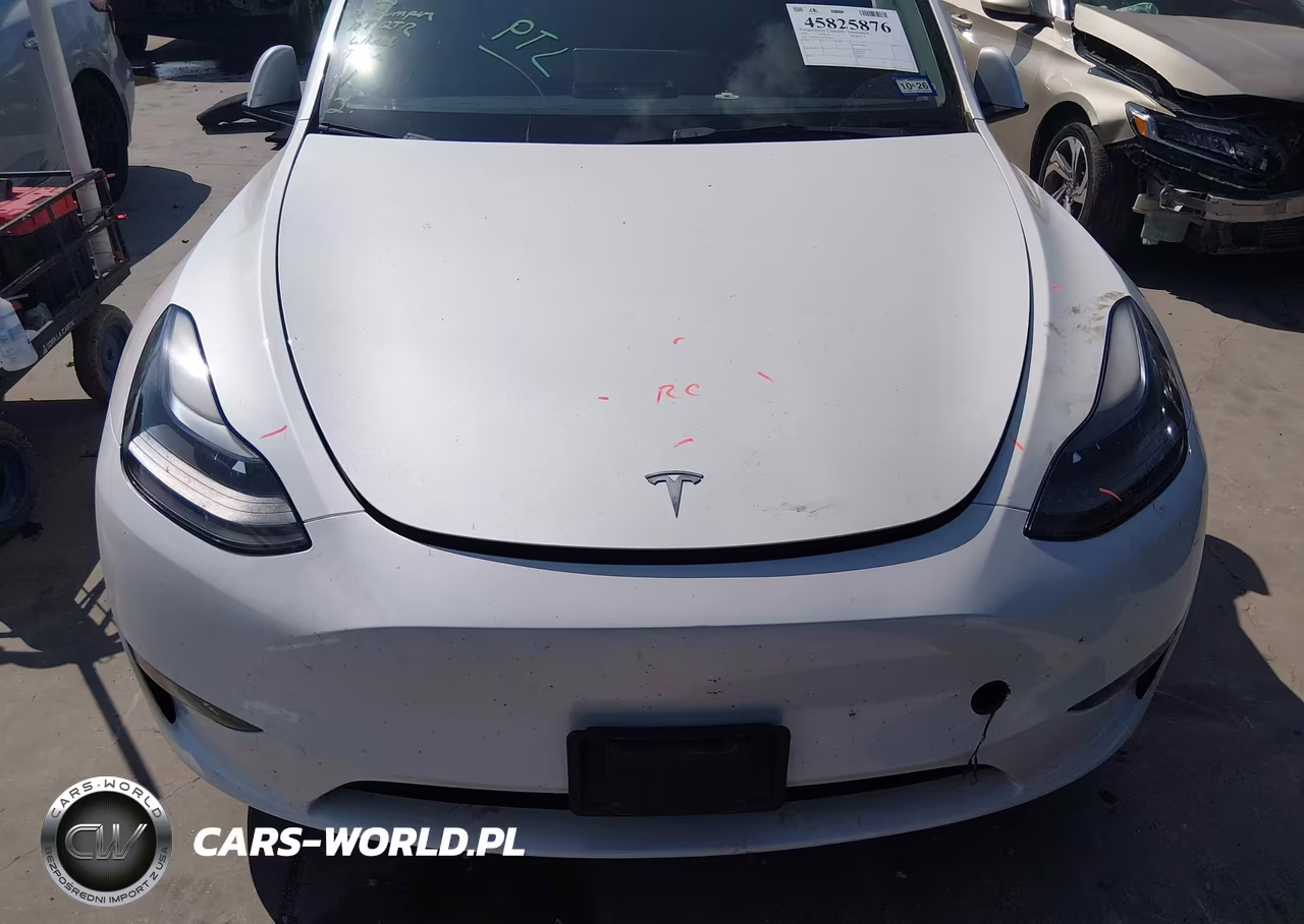 2023 Tesla Model Y Awd-Long Range Dual Motor All-Wheel Drive VIN:7SAYGDEE7PF815630 - 11